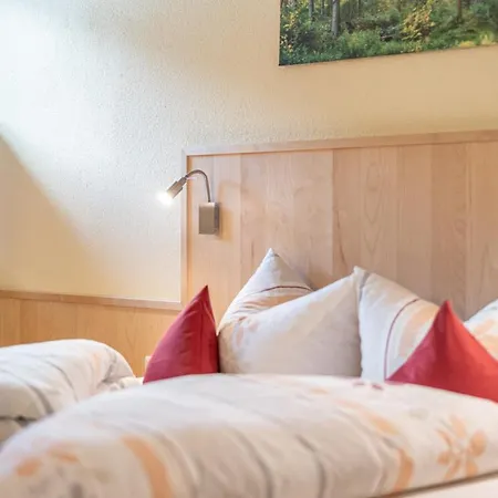 Appartementhaus Im Winkel 3* Solden
